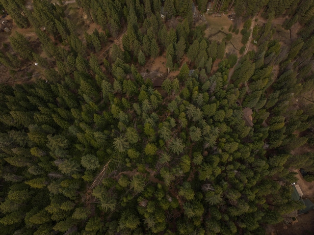 2120 Pack Trl, Mount Shasta, CA 96067 - drone / aerial view