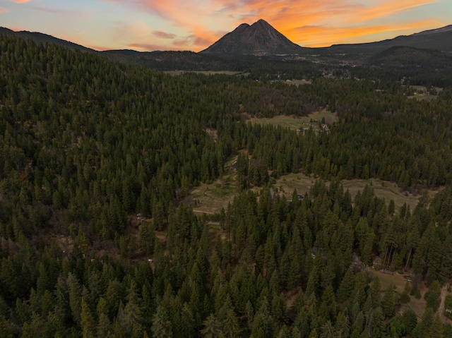 2120 Pack Trl, Mount Shasta, CA 96067 - property view of mountains with a view of trees