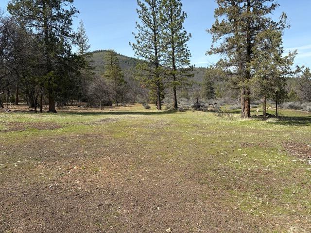 40561 Mountain View Dr, Glenburn, CA 96028