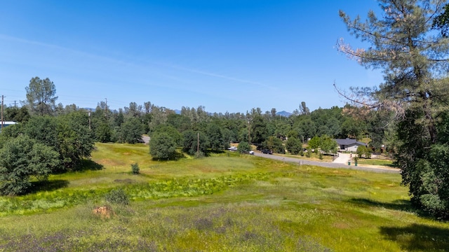 20035 Old Alturas Rd, Redding, CA 96003 - view of yard with a wooded view