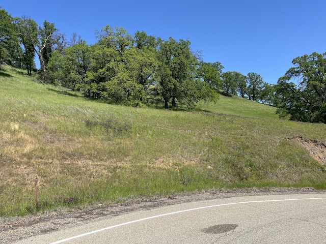 LOT29 Deer Crest Trl, Cottonwood, CA 96022 - photo 1