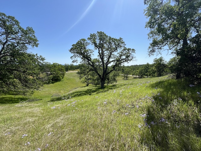 LOT29 Deer Crest Trl, Cottonwood, CA 96022 - photo 2