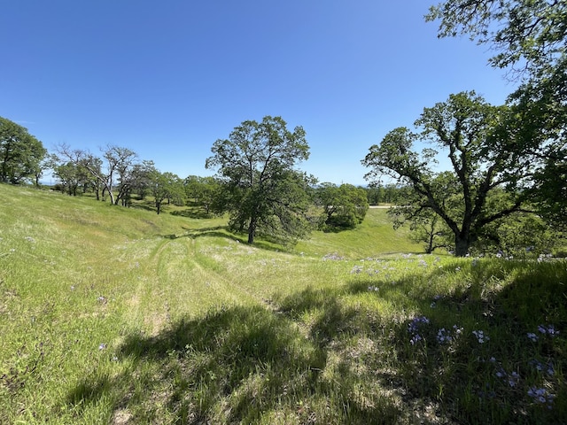 LOT29 Deer Crest Trl, Cottonwood, CA 96022 - photo 3