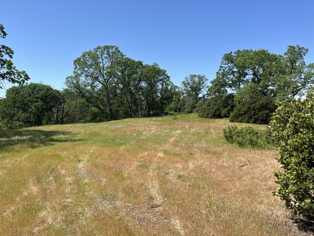LOT29 Deer Crest Trl, Cottonwood, CA 96022 - photo 6