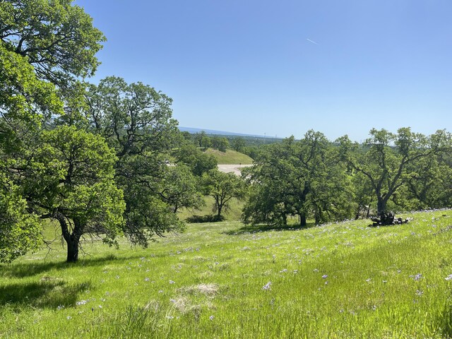 LOT29 Deer Crest Trl, Cottonwood, CA 96022 - photo 7