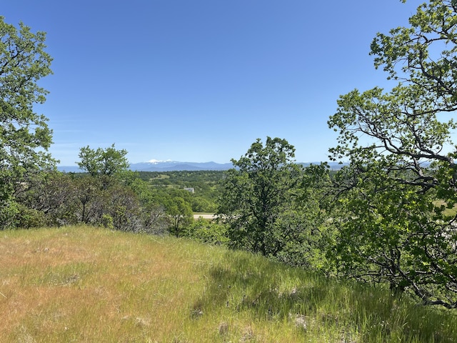 LOT29 Deer Crest Trl, Cottonwood, CA 96022 - photo 8