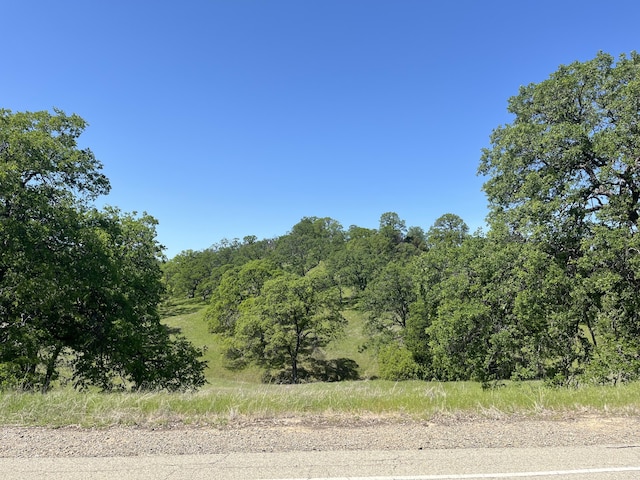 LOT29 Deer Crest Trl, Cottonwood, CA 96022 - photo 10