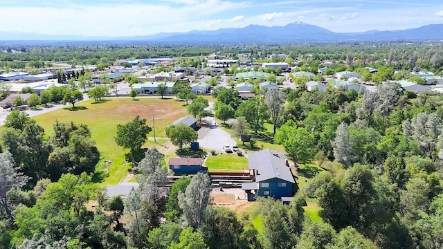 20522 Old 44 Dr, Redding, CA 96003 - photo 4