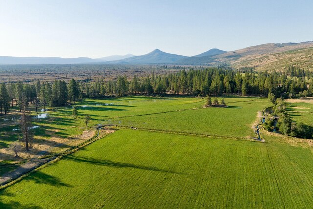 41406 Lonquist Ln, Hat Creek, CA 96040 - photo 3