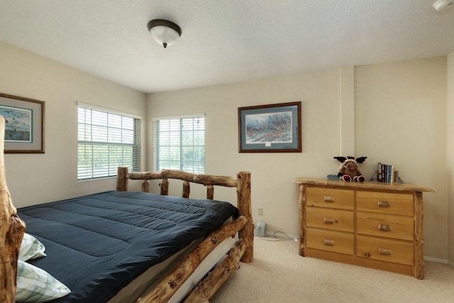 41406 Lonquist Ln, Hat Creek, CA 96040 - photo 19