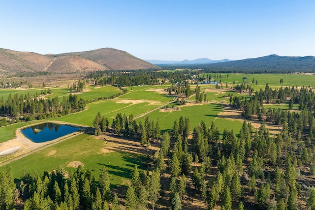 41406 Lonquist Ln, Hat Creek, CA 96040 - photo 37