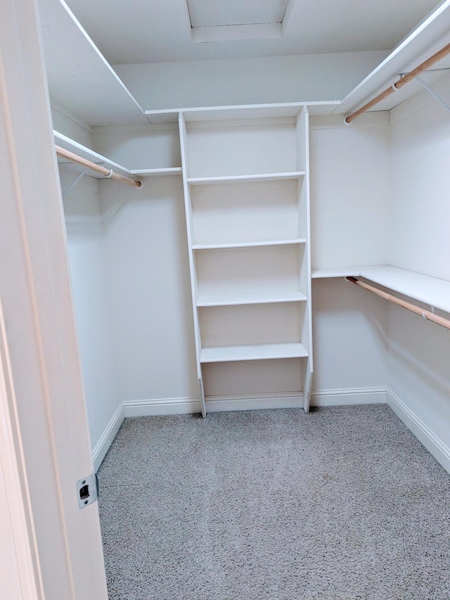 walk in closet featuring attic access and carpet flooring