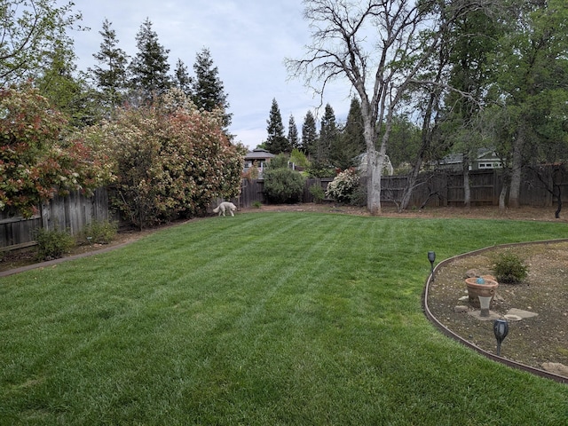 view of yard featuring a fenced backyard