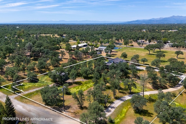 10738 Green Oaks Ln, Redding, CA 96003 - photo 41