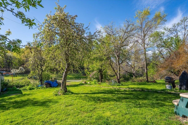 view of yard
