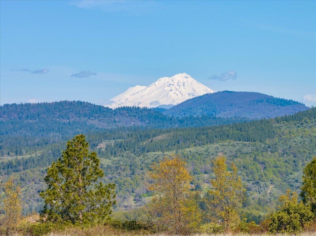 property view of mountains featuring a wooded view