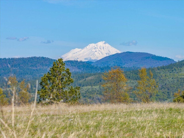mountain view featuring a view of trees