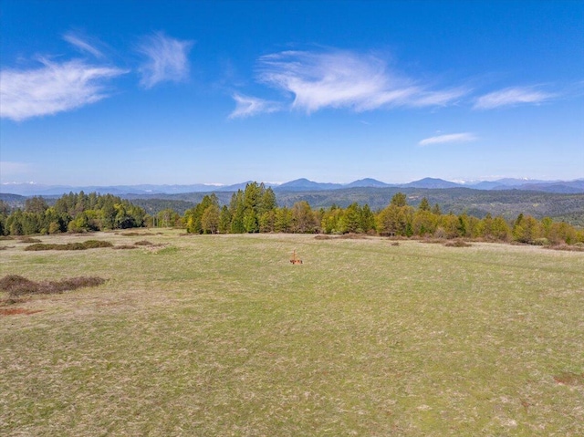 mountain view