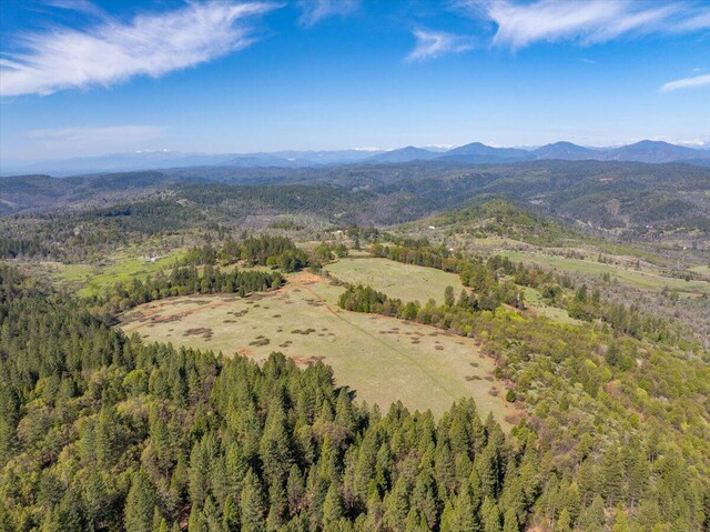 birds eye view of property featuring a wooded view and a mountain view