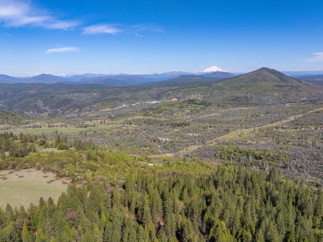 mountain view featuring a forest view