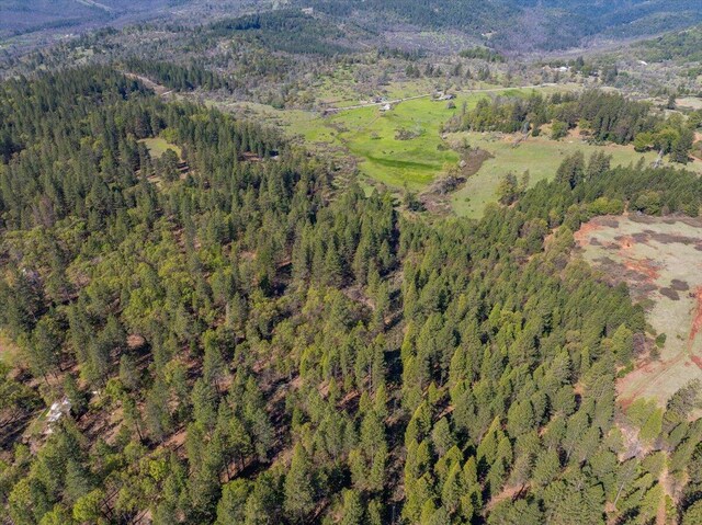 drone / aerial view featuring a view of trees and a mountain view