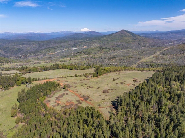 birds eye view of property featuring a view of trees and a mountain view