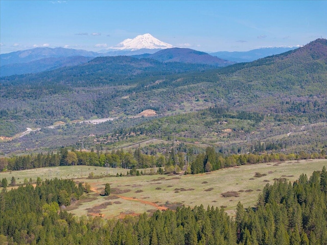 mountain view with a view of trees