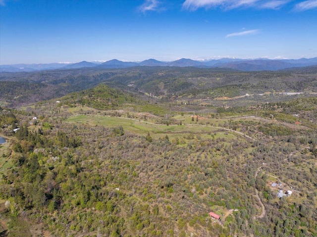 view of mountain feature featuring a wooded view