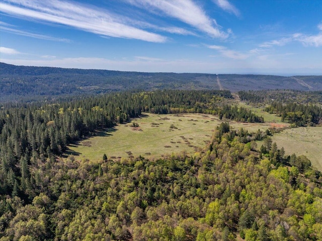 drone / aerial view featuring a forest view