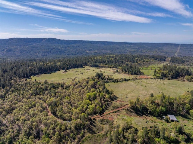 bird's eye view with a view of trees