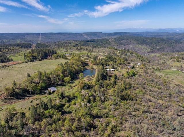 drone / aerial view featuring a wooded view and a mountain view