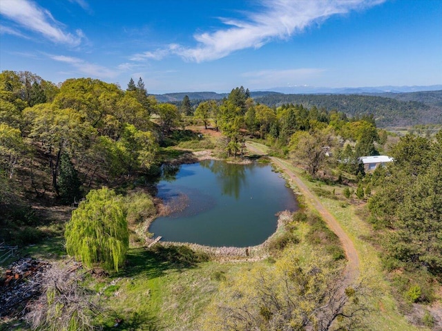 birds eye view of property featuring a forest view and a water and mountain view