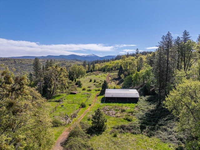 birds eye view of property featuring a view of trees and a mountain view