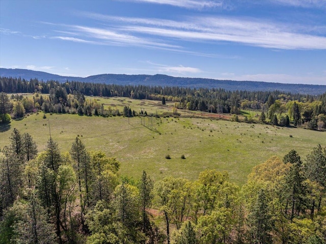 property view of mountains with a view of trees