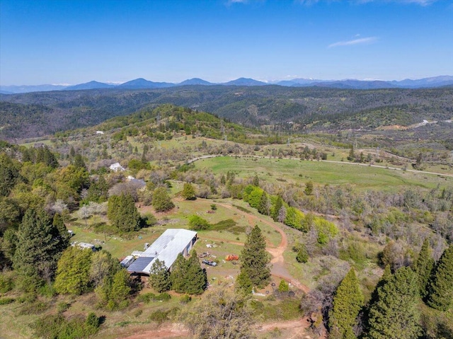 birds eye view of property with a mountain view