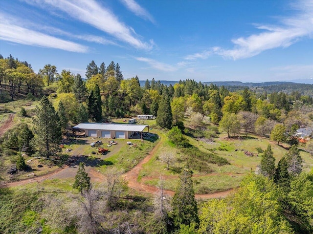 aerial view with a forest view