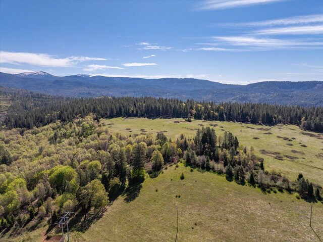 bird's eye view featuring a wooded view and a mountain view