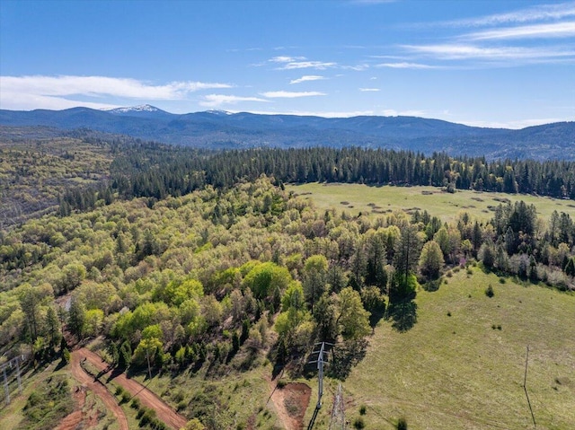 birds eye view of property with a wooded view and a mountain view