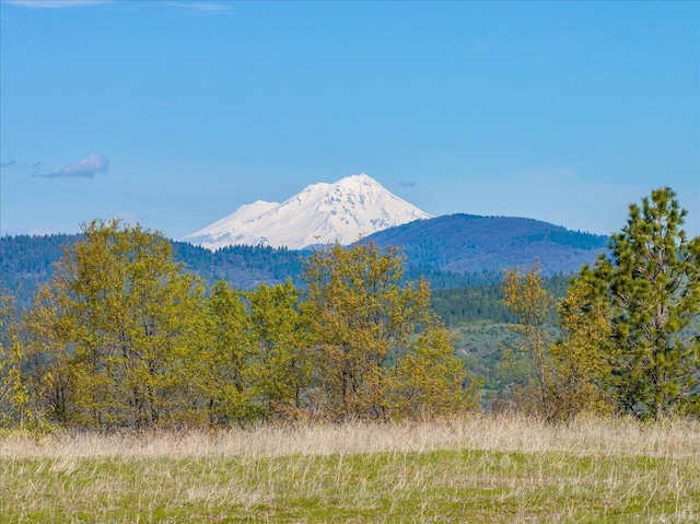 view of mountain feature featuring a wooded view