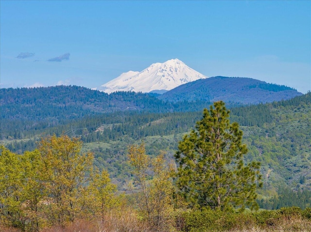 property view of mountains featuring a forest view