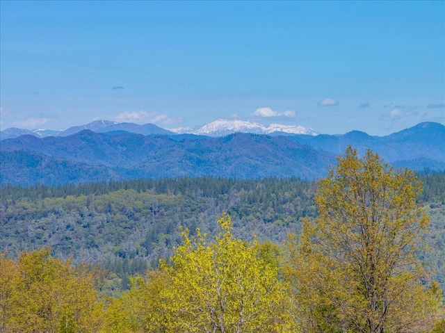 property view of mountains featuring a view of trees