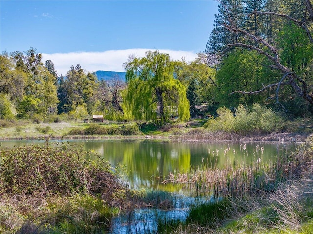 water view