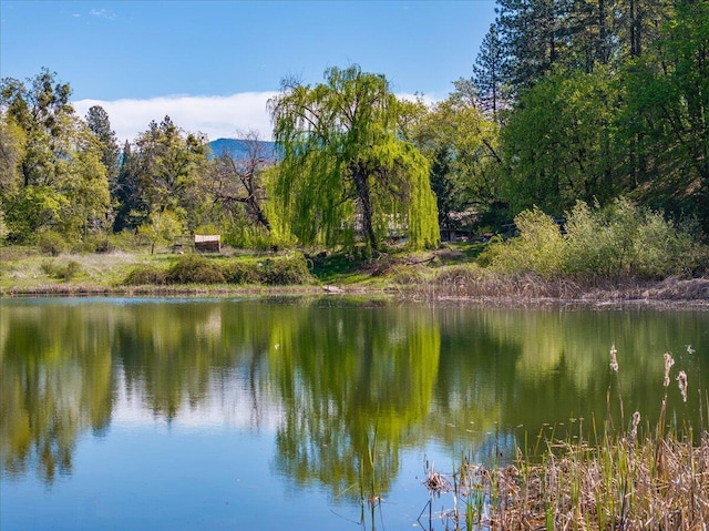 property view of water