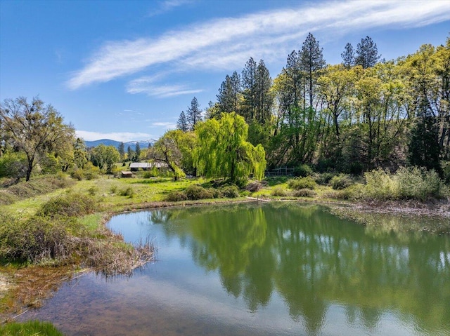 water view featuring a mountain view