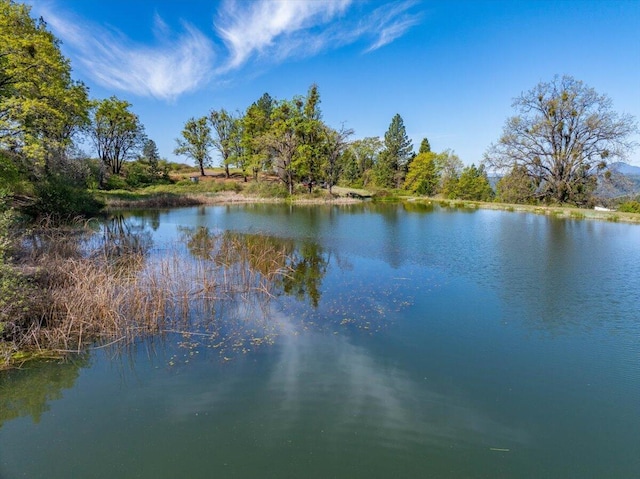 property view of water