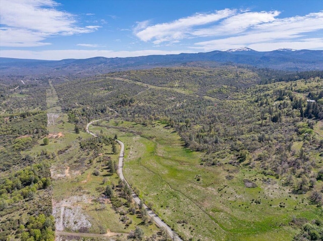 drone / aerial view with a forest view and a mountain view