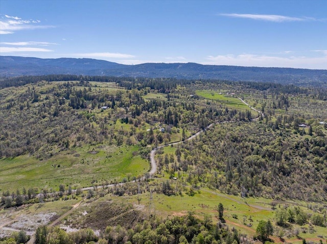 birds eye view of property featuring a forest view and a mountain view