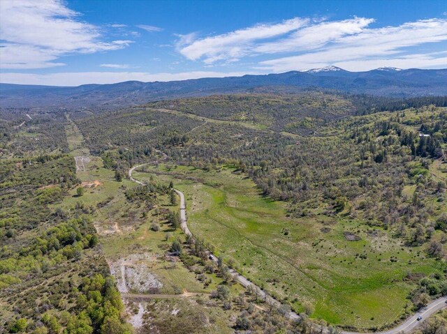 drone / aerial view with a forest view and a mountain view