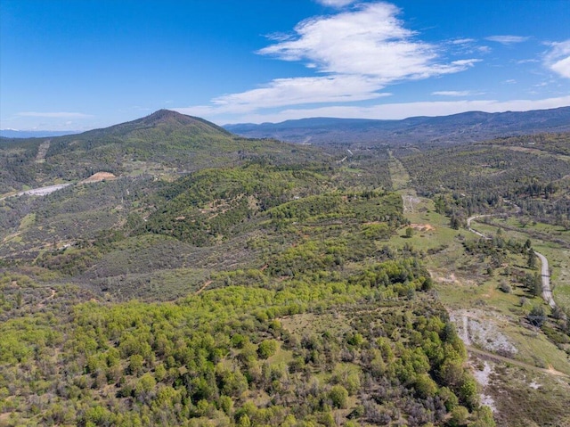 property view of mountains with a wooded view