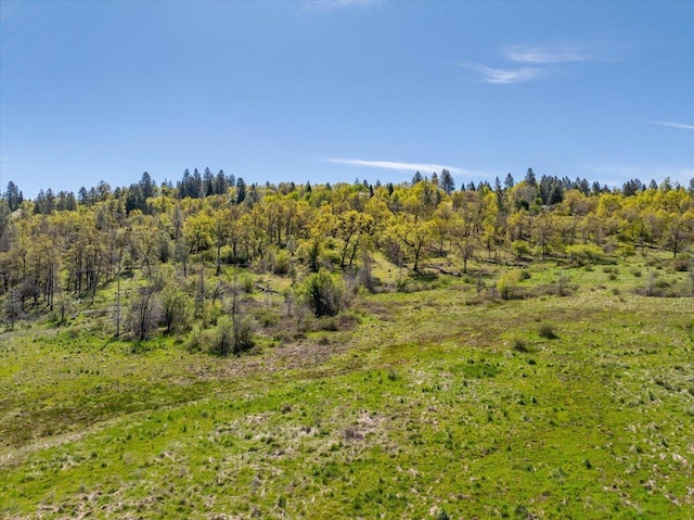 view of nature